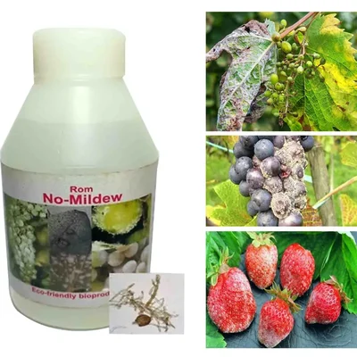 ROM 1 liter No Mildew | Liquid Bio Fungicide | Suitable for Controlling Mildew Disease